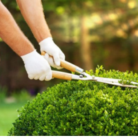 Landscaping And Gardening Services